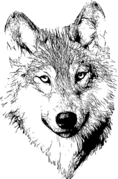 다큐멘터리