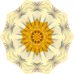 꽃 kaleidoscope medallion