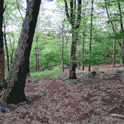 지상에 있는 불을 가진 Wooded 지역