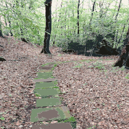 Wooded Area의 돌 경로