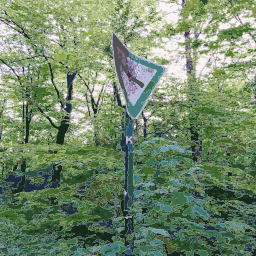숲 경고 표시