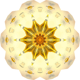 황금 kaleidoscope 별