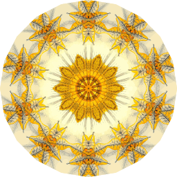 황금 해바라기 kaleidoscope