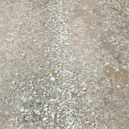 검정 과 화이트 고양이 walking 에 A Gravel Road