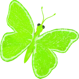 A Butterfly Made 아웃 의 Lime Slices
