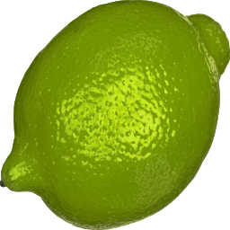 흰색 배경에 Lime