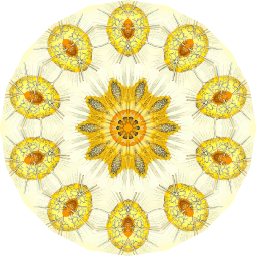 황색 kaleidoscope