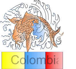 koi 파 colombia