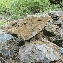 A Pile 의 Rocks 에 The Woods