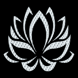 검은 배경에 흰색 로터스 꽃