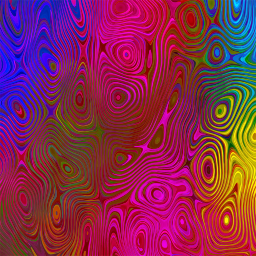 rainbow 선형 본 1