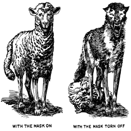 쌍 의 sheep standing 다음에 에 각각의 다른
