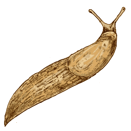 흰색 배경에 Slug