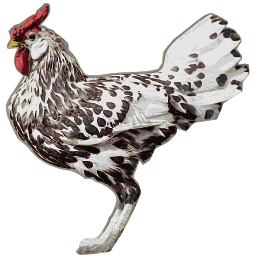 얼룩이 지는 hen