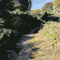 vegetation을 통한 풍화 경로