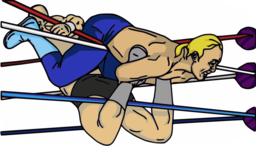 wrestler 압착 링 로프