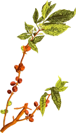 단풍 명소 sprig