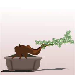 벤치에 bonsai