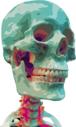 다채로운 반투명 인간 skull