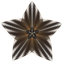 concentric 철사 별