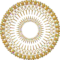 금 광선 레이스 rosette