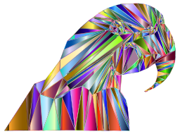 multicolor faceted 앵무새 단면도
