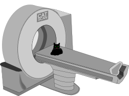 tomcat mri 갱도 스캐너