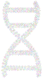 화려한 dna helix 2
