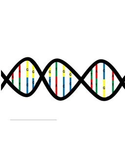 화려한 dna helix