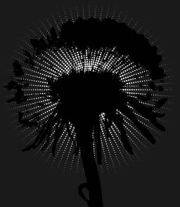dandelion씨 머리 silhouette