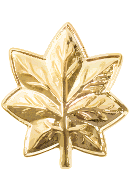 황금 단풍 brooch