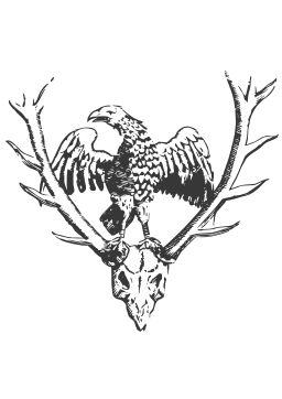 A Deer 'S Skull의 검정색과 흰색 이미지