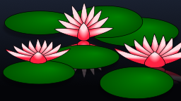 핑크 물 백합 연못
