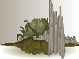 록키 카툰 shrubland