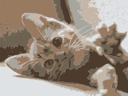 sepia tabby 고양이 인물