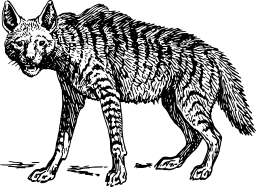 늑대 silhouette