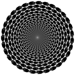 검정 silhouetted 차량 나선 본