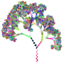 colorful flower tree
