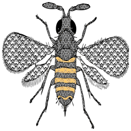 검정과 황색 줄무늬를 가진 Honeybeet