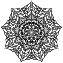 intricate 검정 레이스 디자인