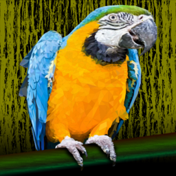 낮은 많은 다채로운 파란색과 노란색 macaw parrot