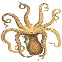 Tentacles를 가진 octopus
