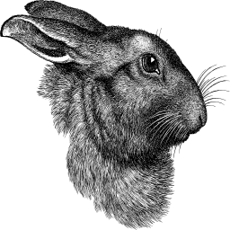 현실적인 rabbit 삽화