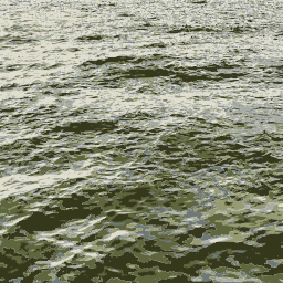 rippling 물 표면