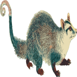 만화 opossum 삽화