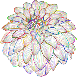 다채로운 dahlia 꽃