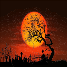 달빛 silhouette 나무