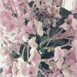 핑크 꽃 그림