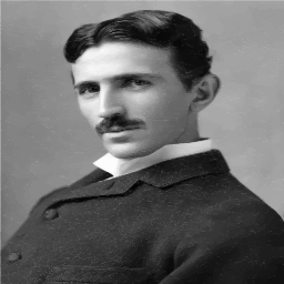 nikola tesla의 초상화