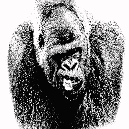 화가 gorilla 얼굴